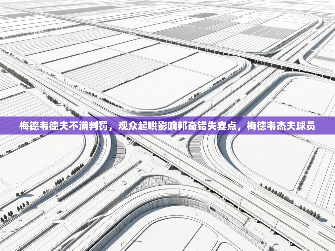 爱游戏体育-梅德韦德夫不满判罚,观众起哄影响邦奇错失赛点,梅德韦杰夫球员 第2张
