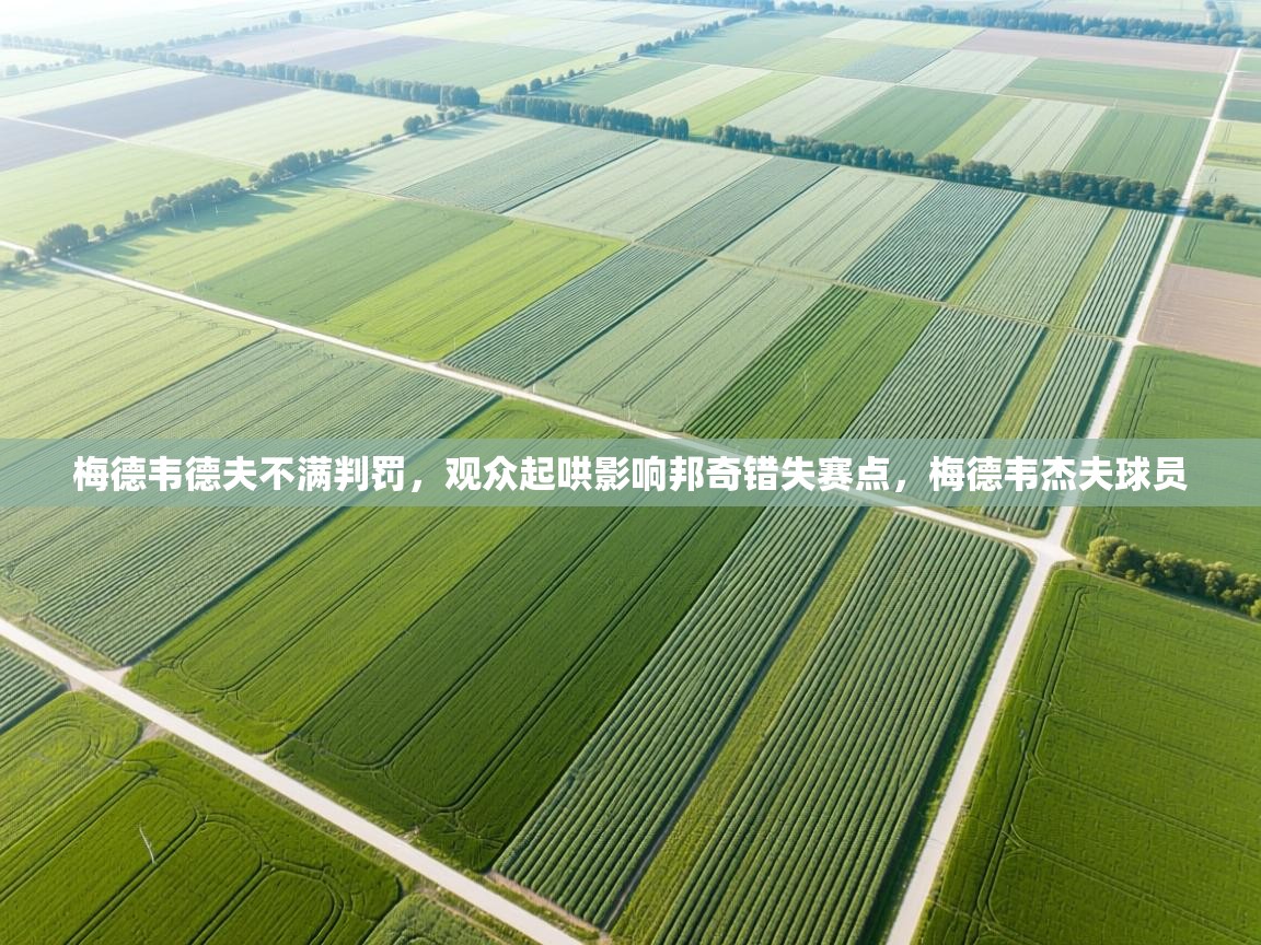 爱游戏体育-梅德韦德夫不满判罚,观众起哄影响邦奇错失赛点,梅德韦杰夫球员 第4张