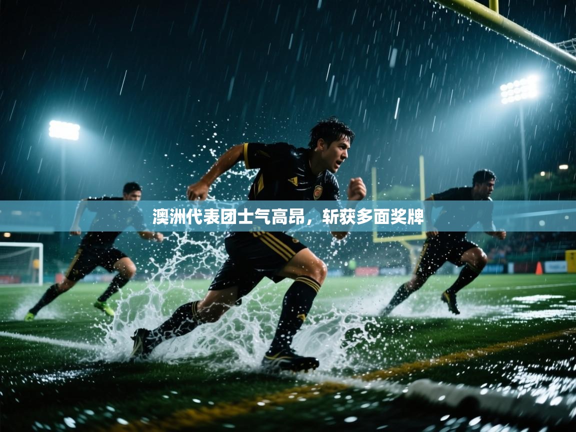 爱游戏平台官网入口-澳洲代表团士气高昂，斩获多面奖牌  第4张