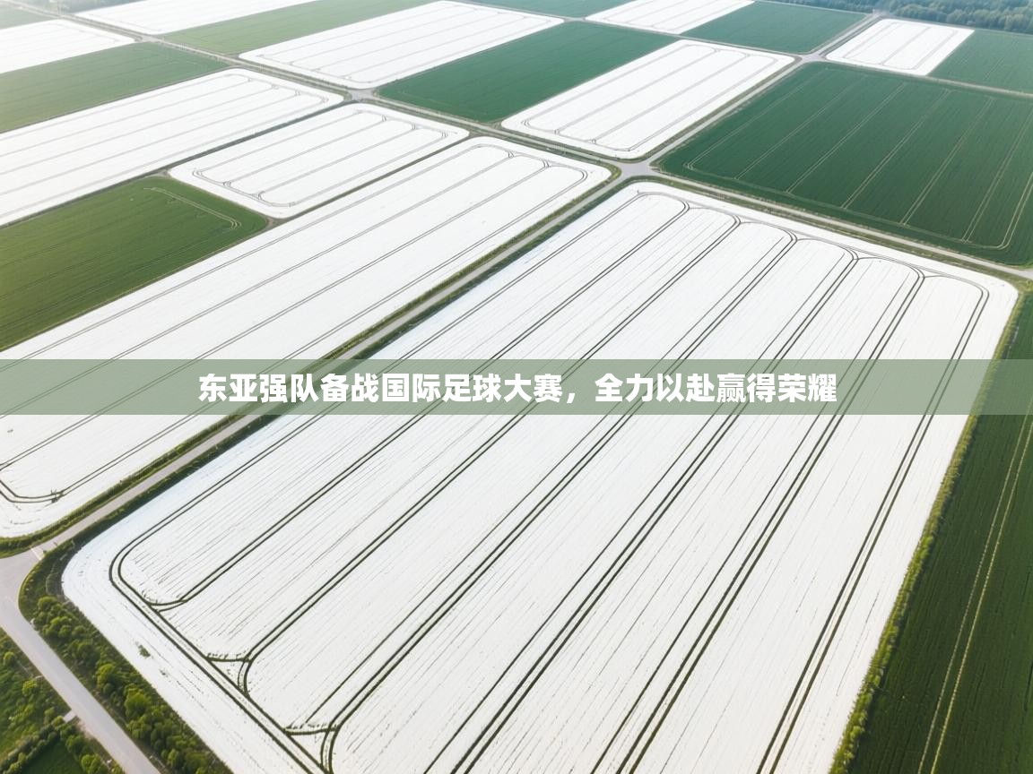 爱游戏平台-东亚强队备战国际足球大赛，全力以赴赢得荣耀