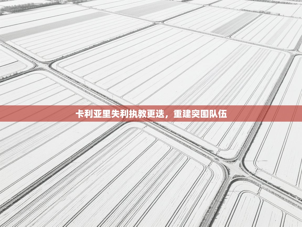 爱游戏体育-卡利亚里失利执教更迭，重建突围队伍  第4张