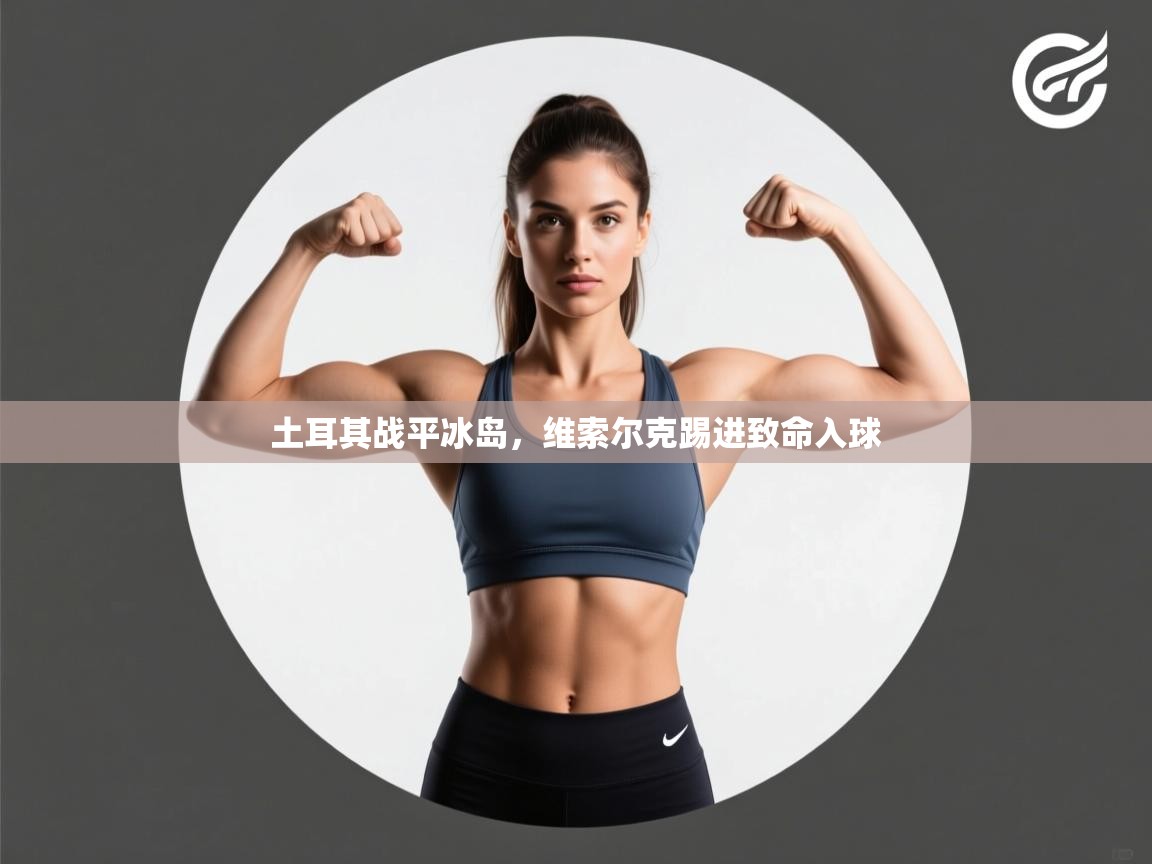 -土耳其战平冰岛，维索尔克踢进致命入球